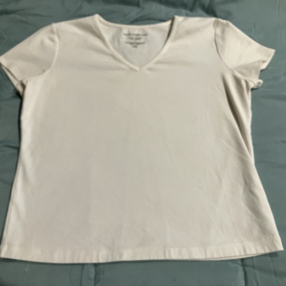 Petite Sophisticate Cream V-Neck Short Sleeve Tee